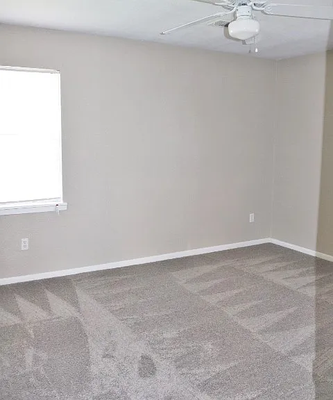 914 Chalk St — Photo 13