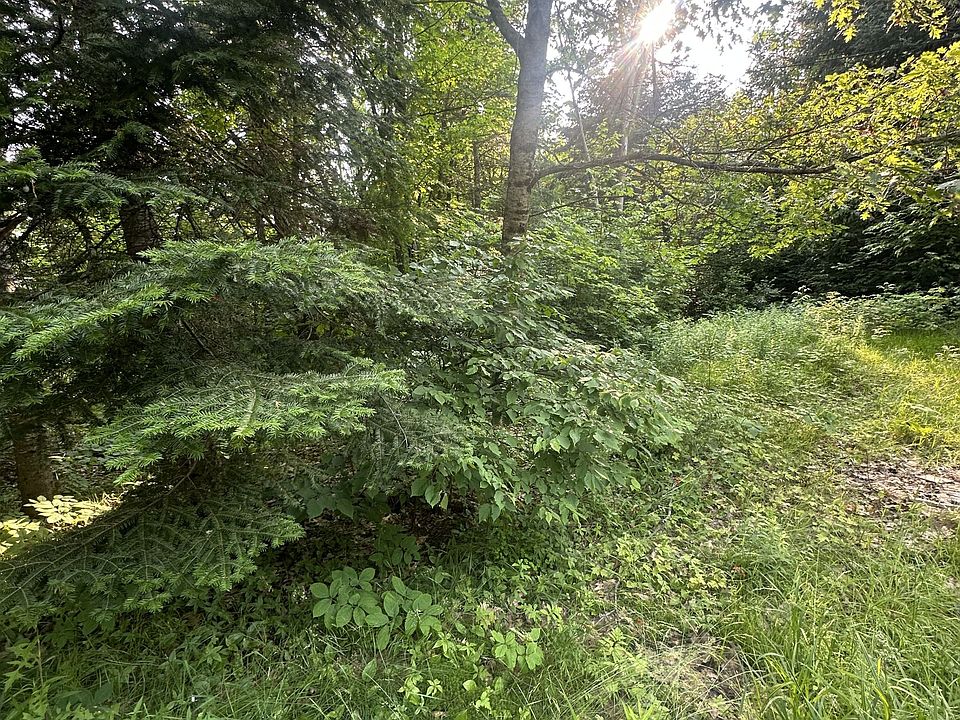 1st image of 50 Rose Bush Ln