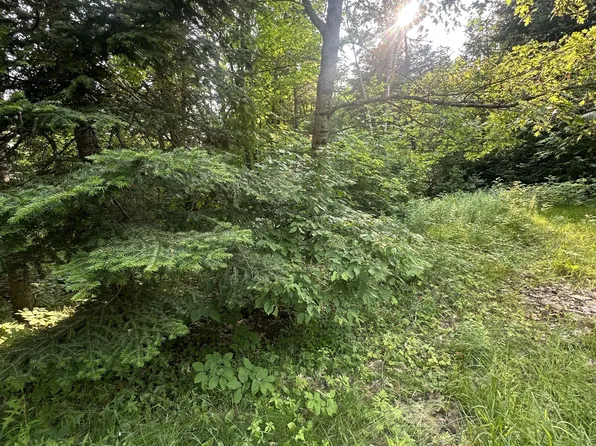 50 Rose Bush Ln, Perry, ON P0A 1J0