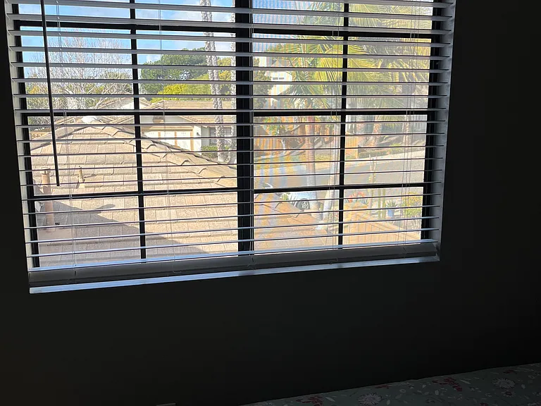 Tynebourne Cir — Photo 7