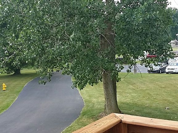 3rd image of 7489 Crosscreek Dr