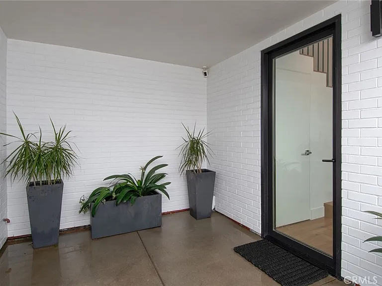 502 1/2 Begonia — Photo 2