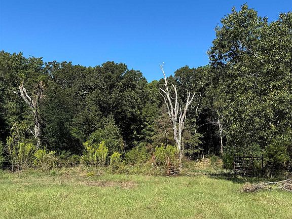 5th image of 20423 County Road 437