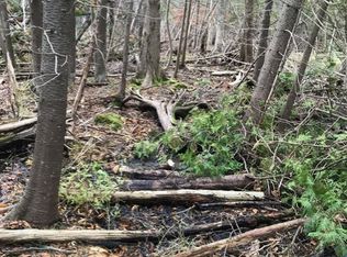 Atkins Rd, Petoskey, MI 49770