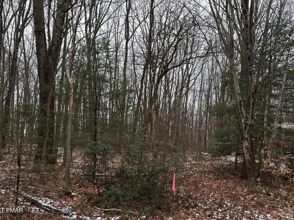 Black Bear Pass, White Haven, PA 18661