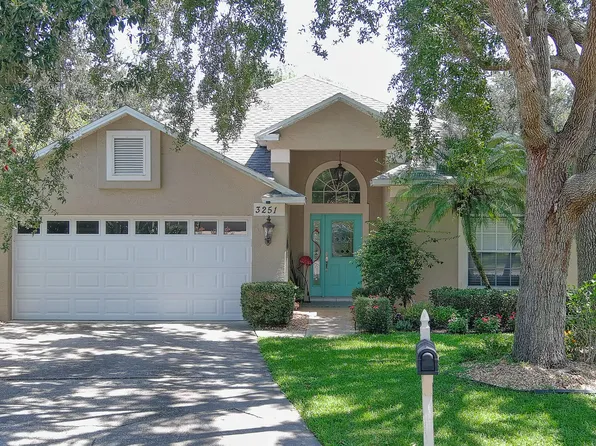 3251 Vail View Ct, Port Orange, FL 32128
