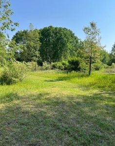 10754 W Dunlop Rd, Lake, MI, 48632