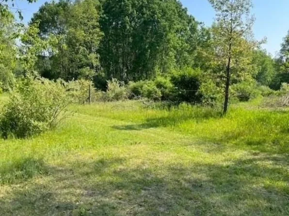 10754 W Dunlop Rd, Lake, MI 48632