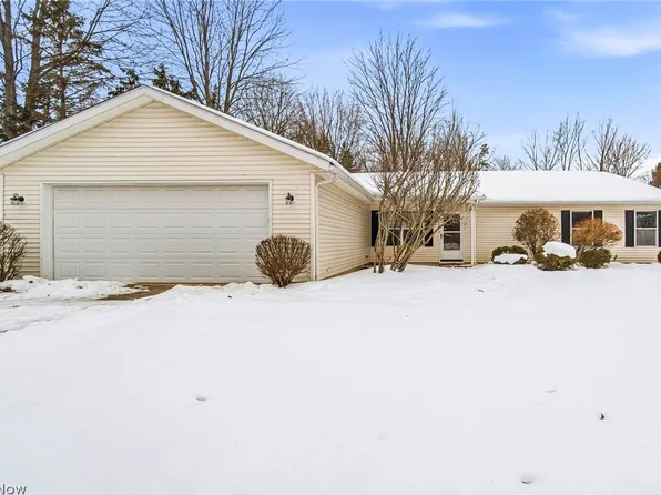 67 Red Pine Dr, Painesville, OH 44077