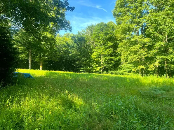 LOT 6 Carleton Pond Rd, Camden, NY 13316