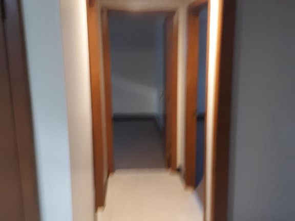 4th image of 155 Obed Ave #3