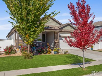 941 Barasingha St, Severance, CO, 80550