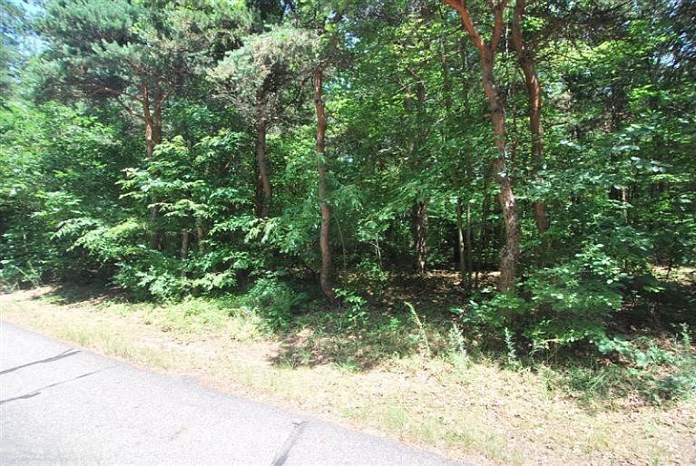 2nd image of Old Allegan Rd