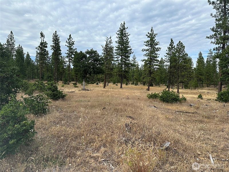 3rd image of 5 Greyback Mt Road