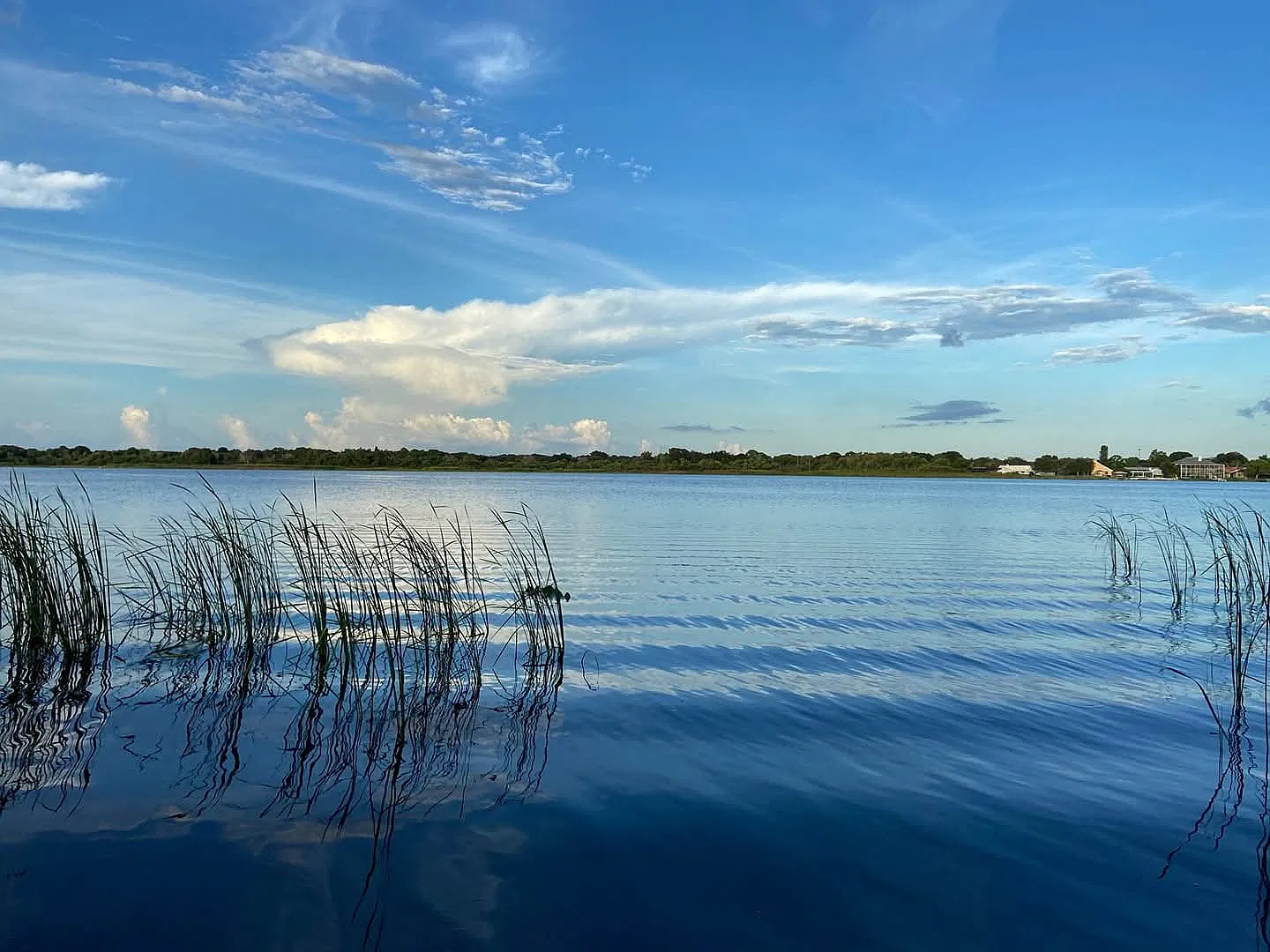 from the fishing dock (Lake Seminole)
