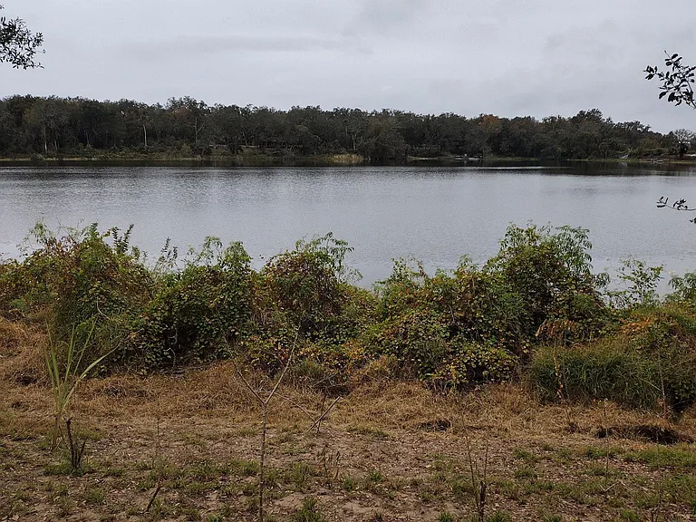 334 Lake Shepard Dr — Photo 14