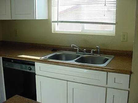 Sink and dishwasher