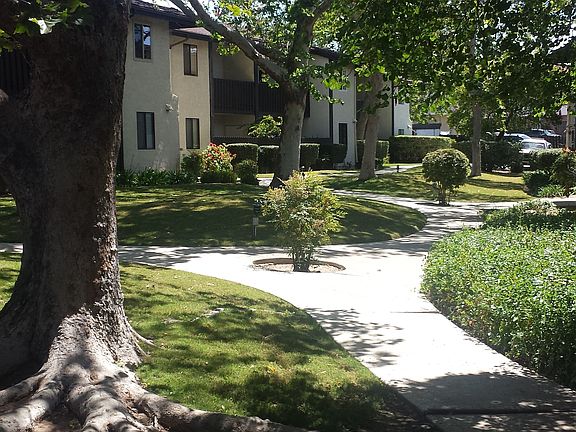 Garden walkway views