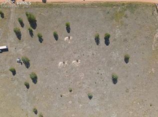 300 S Deer Mountain Rd, Florissant, CO 80816