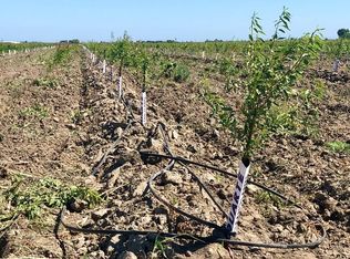 6124 Hogin Rd, Crows Landing, CA 95313