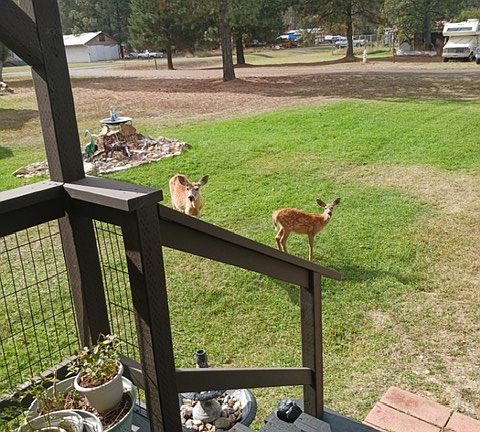 4th image of 326 Pinewood Ln