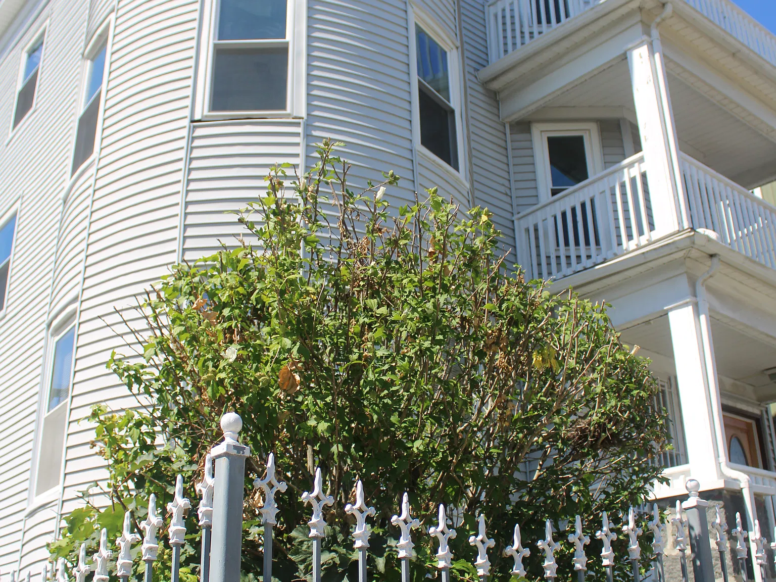 Topliff Street — Photo 2