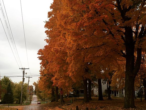 Beautiful in the fall!