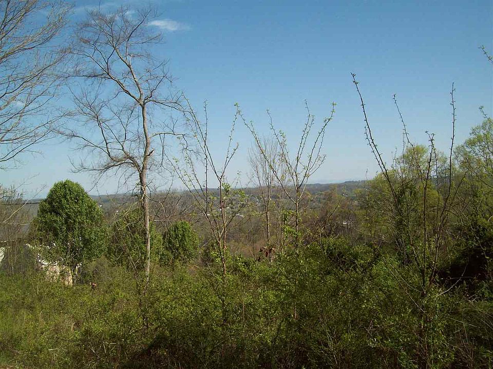 2nd image of 1650 Buggy Rd