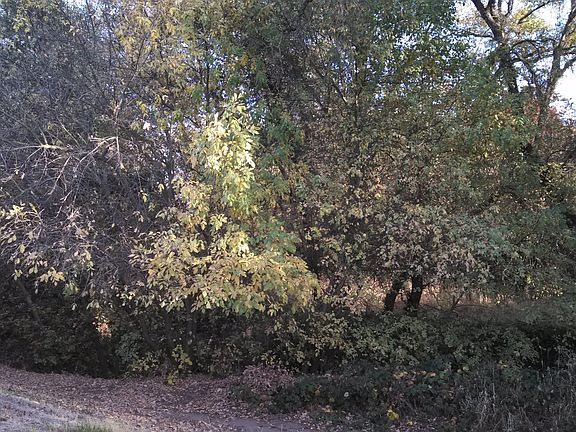 4th image of 5760 Clearwater Dr