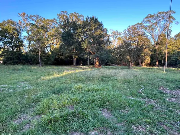 B 7 Eathern Martin Rd, Livingston, LA 70754