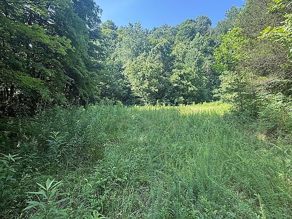 5th image of Gray Gap Rd Lot Wp001