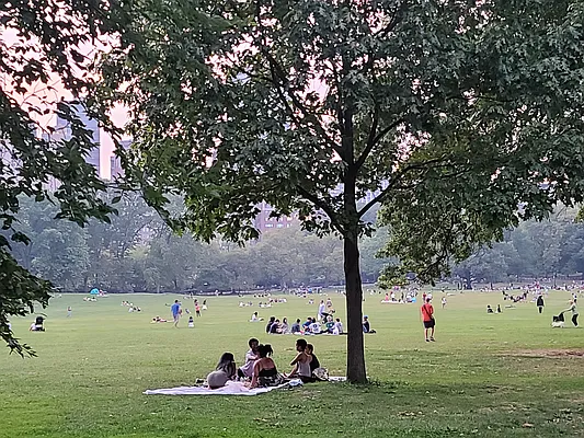 Rented by Bond New York | media 9