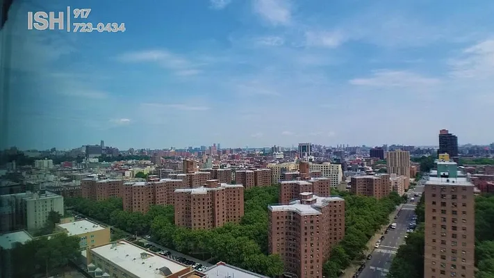 Rented by Area New York | media 20