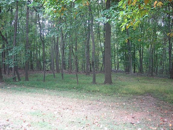 Rear Woods