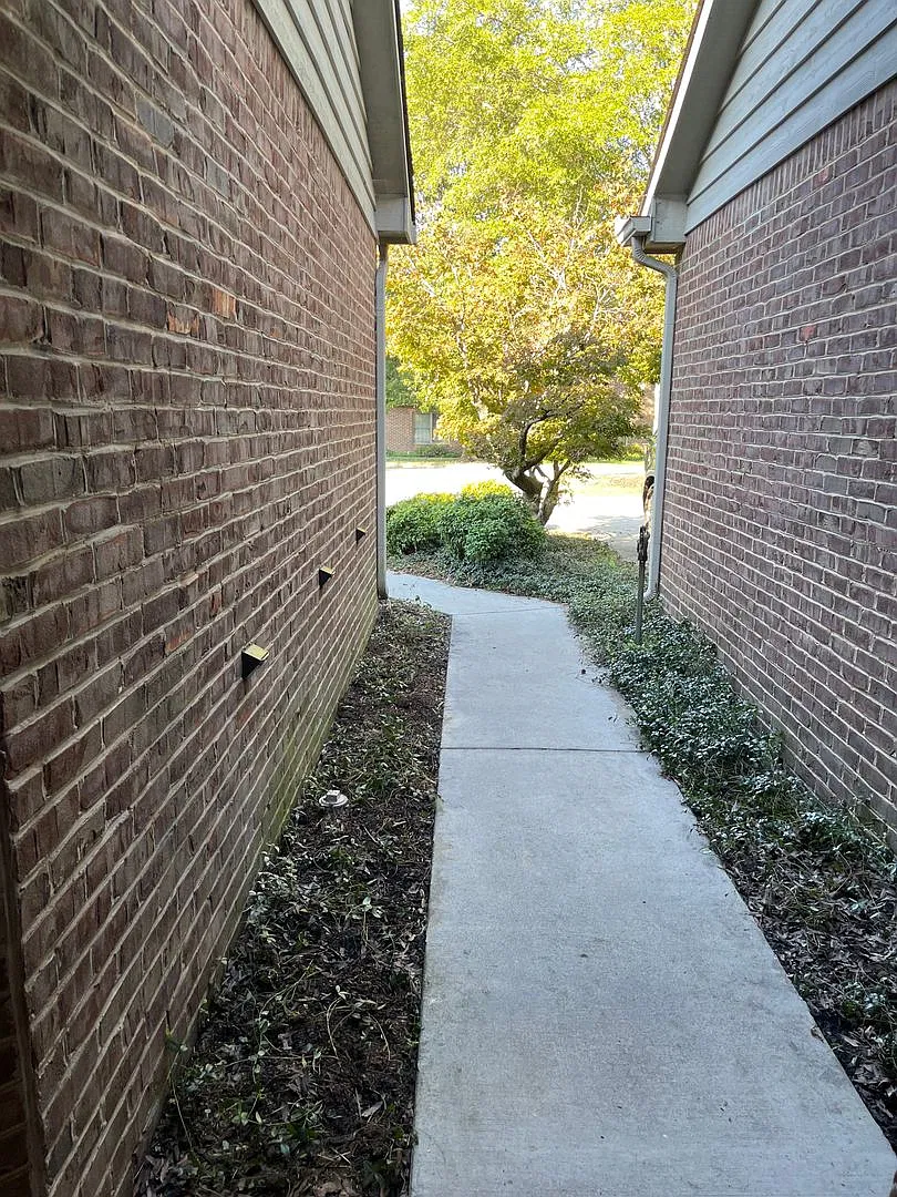 Come View This Beauty! — Photo 2
