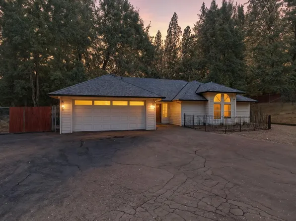 16689 Silver Pine Rd, Pioneer, CA 95666