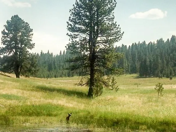 Starvation Rd, Enterprise, OR 97828