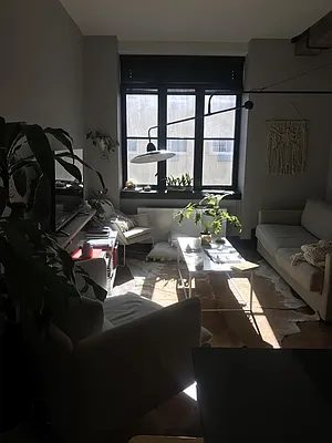 Rented by Loom Group | media 45