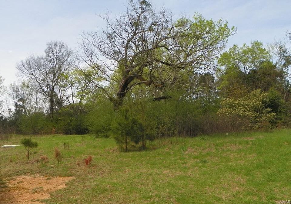 1st image of 255 County Road 64