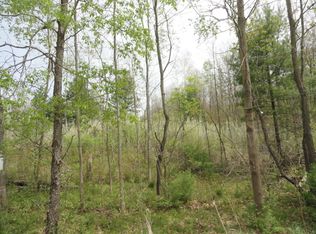 100 N West Countyline Rd, Remus, MI 49340