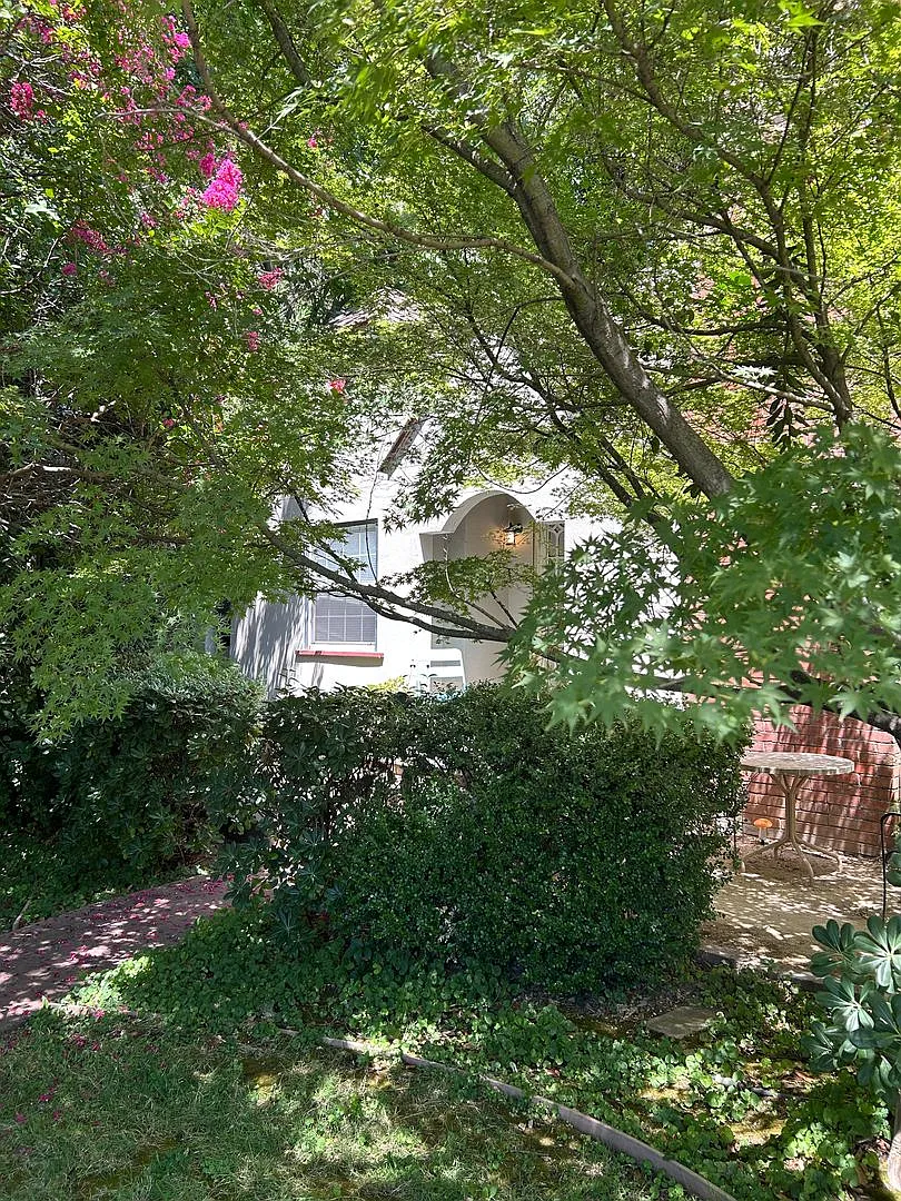 1160 Palm Avenue — Photo 2