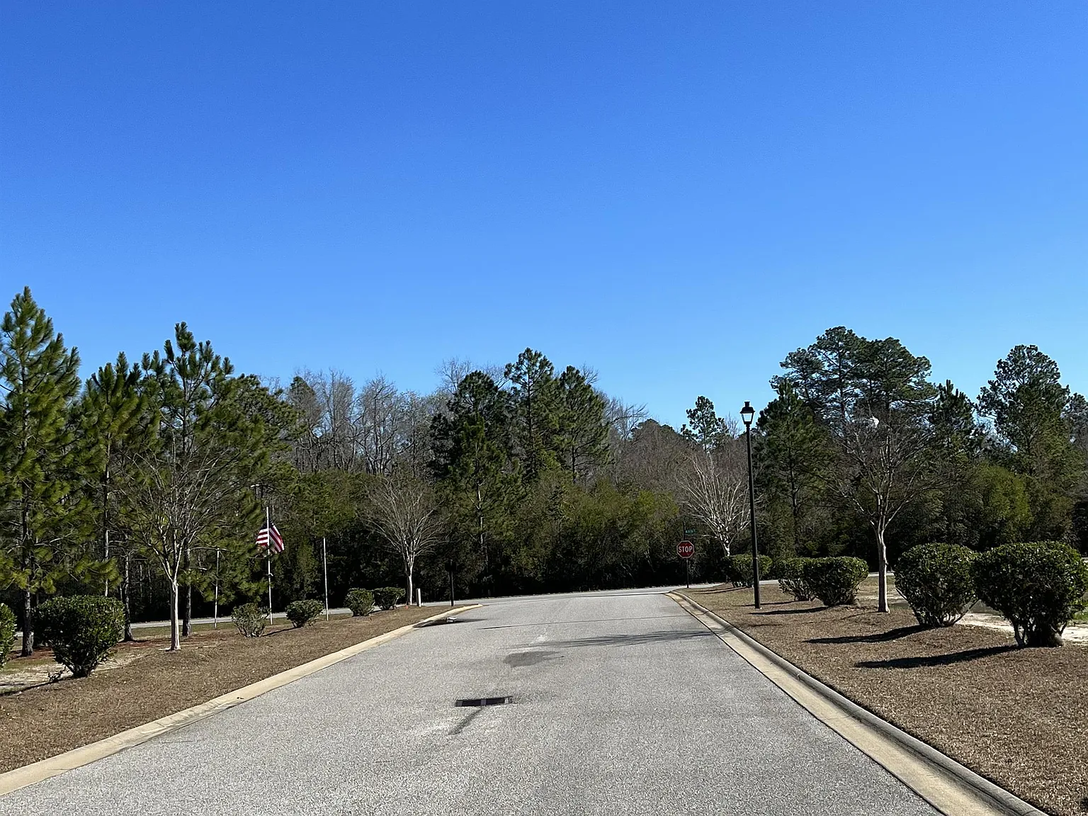 819 Terrell Drive - 1 — Photo 4
