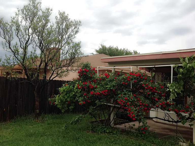 758 Alisons Way — Photo 9