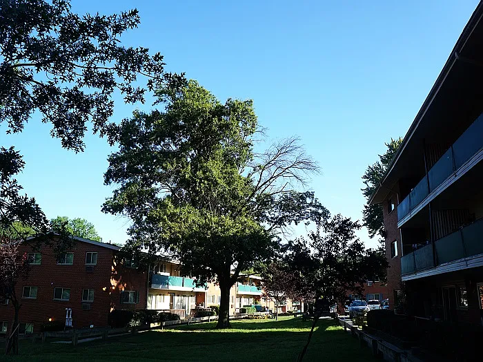Parkview Gardens Apartments — Photo 17