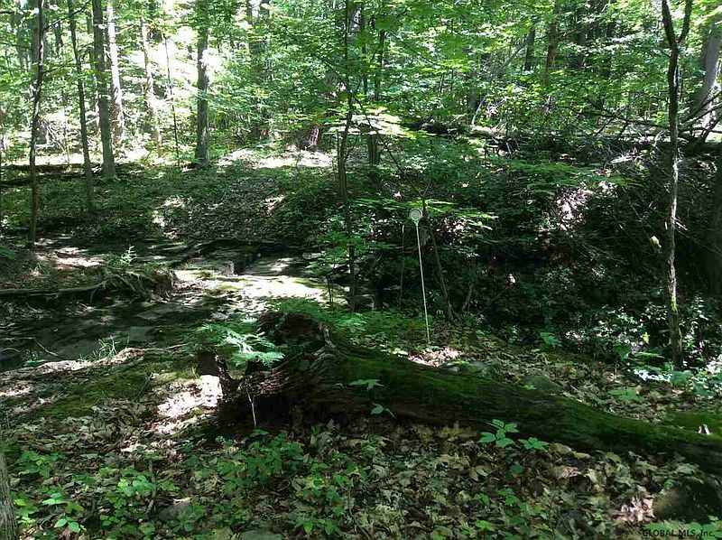 2nd image of RIDGE Road