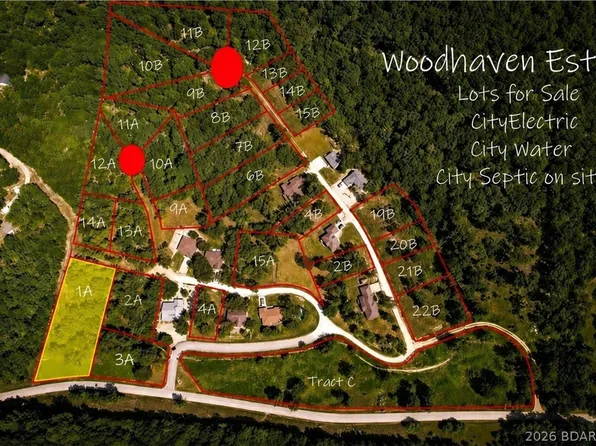 1A Pinkie Ln, Gravois Mills, MO 65037