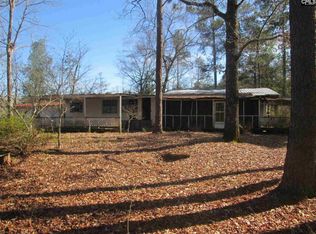225 Tiny Springs Rd, Swansea, SC 29160