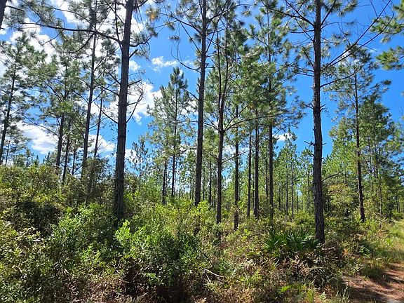 3rd image of 0 SW Bell & Gum Rd