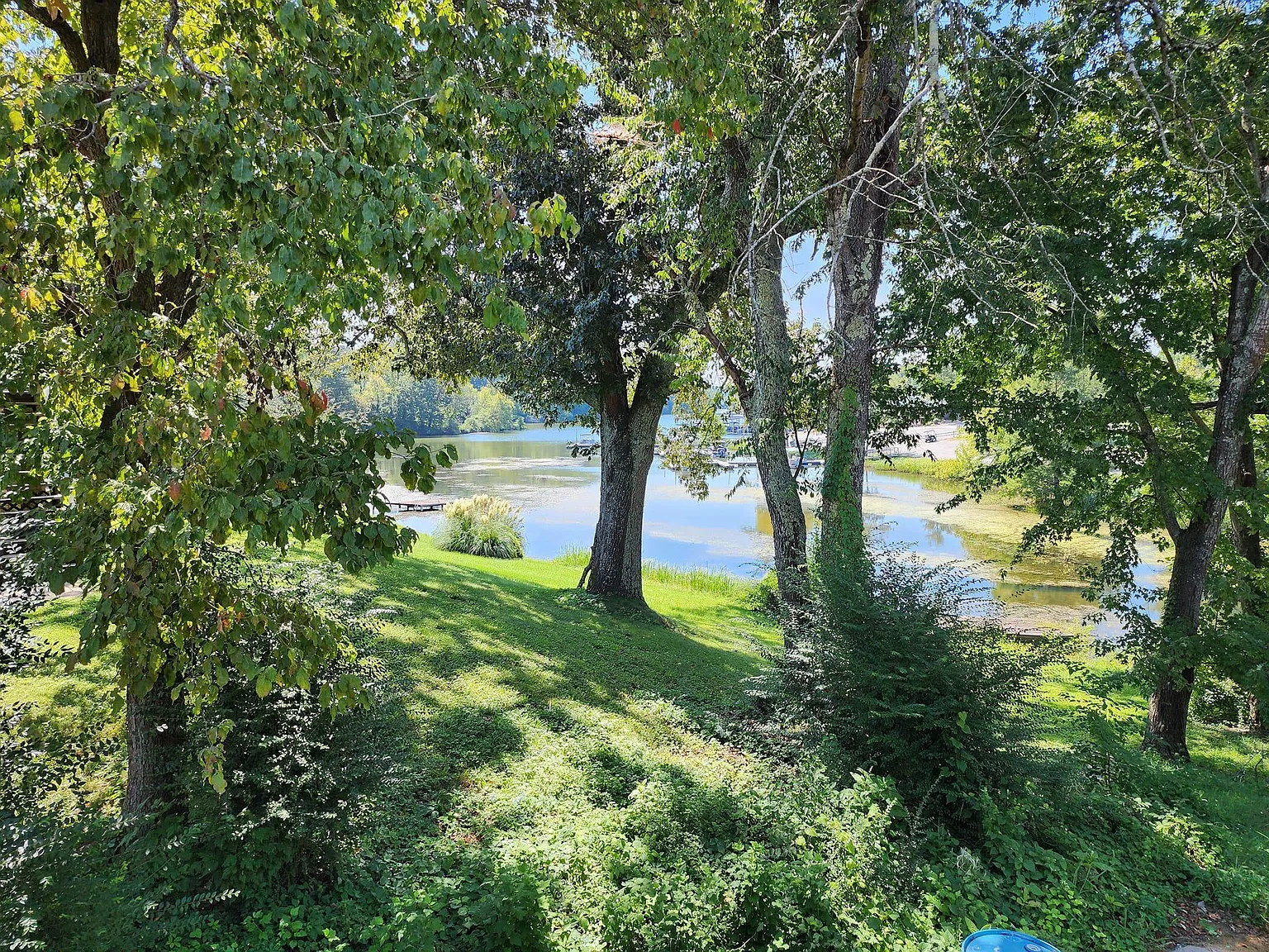 1 bed, 650 sqft, $1,350 — Photo 1