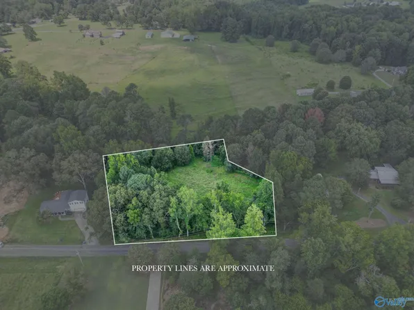 Weatherly Ave, Albertville, AL 35950